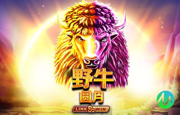 凤凰彩票平台手机版本